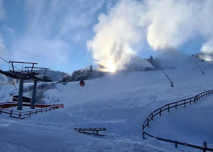 Lush And Spacious With Indoor Pool And Wellness - Seven Bedroom *